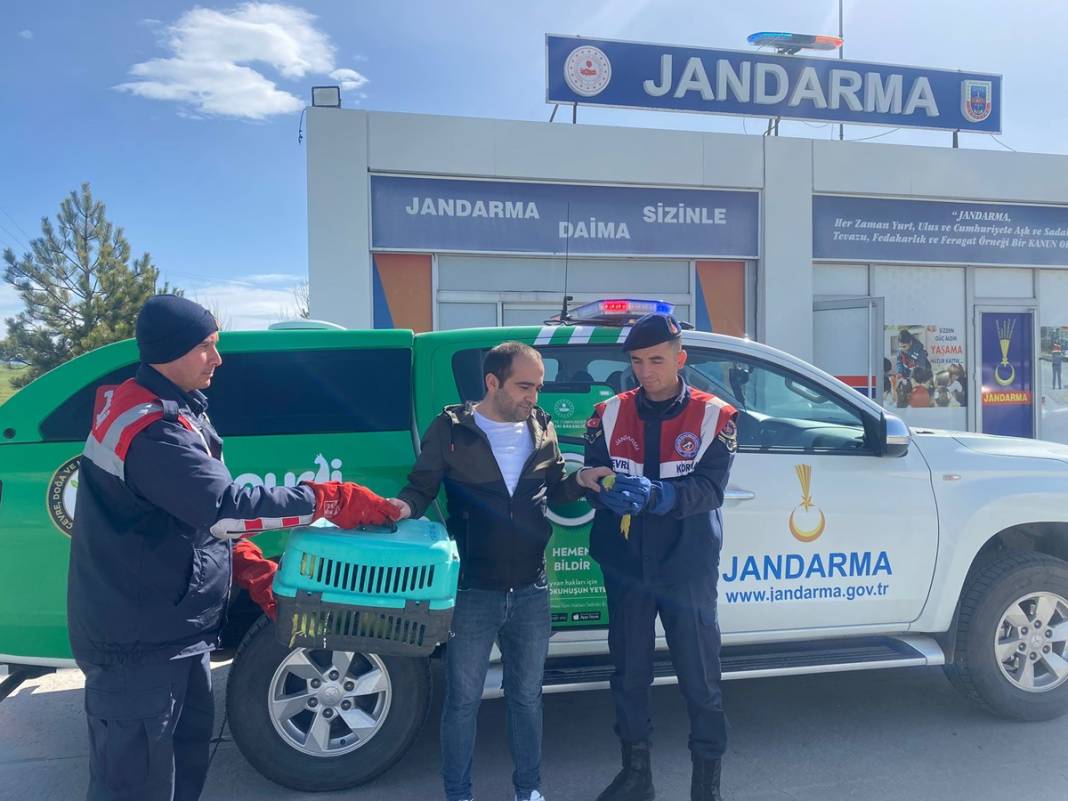 Yolcu otobüsünün bagajından öyle bir şey çıktı ki, jandarma ekipleri ne yapacağını bilemedi! 2